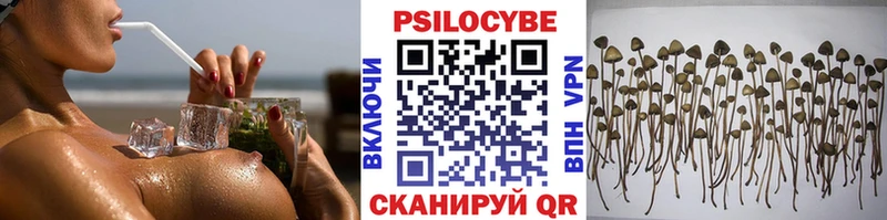 Галлюциногенные грибы Psilocybine cubensis  ссылка на мегу ССЫЛКА  Вологда 