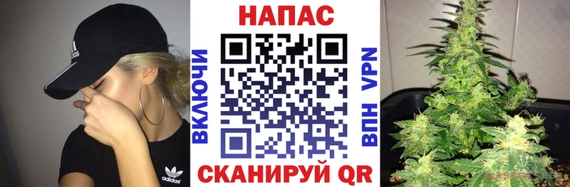 Конопля план Вологда